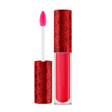 GLOSS AUMENTO VOLUME LABIOS FRAN BY FRANCINY EHLKE