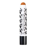 CORRETIVO STICK COVER FRAN BY FRANCINY EHLKE E-01